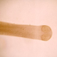 Hymenolepis diminuta.